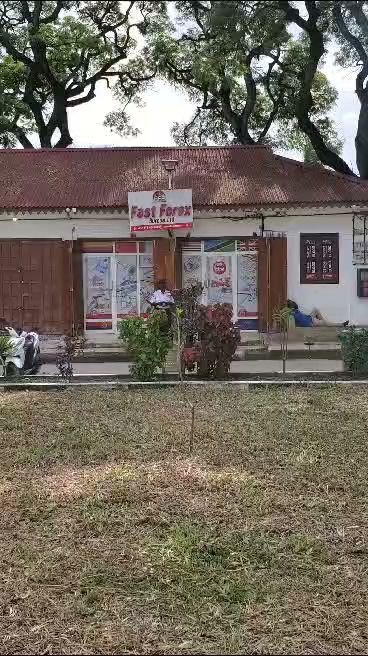 PAJE BRANCH Image